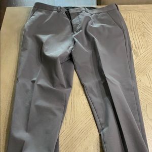 Express dress pant